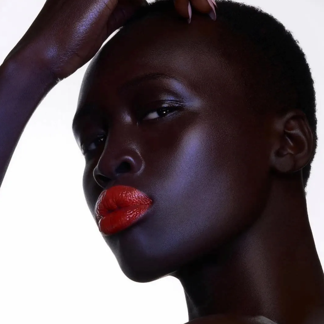 Danessa Myricks Colorfix Matte (vegan), Lidschatten, Lippen, Blush-Farben, wasserfest - Tigerzzz-Shop