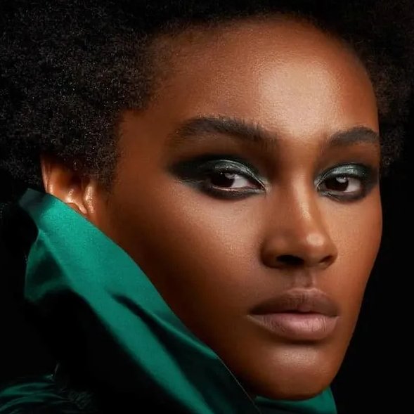 Danessa Myricks Colorfix Matte (vegan), Lidschatten, Lippen, Blush-Farben, wasserfest - Tigerzzz-Shop