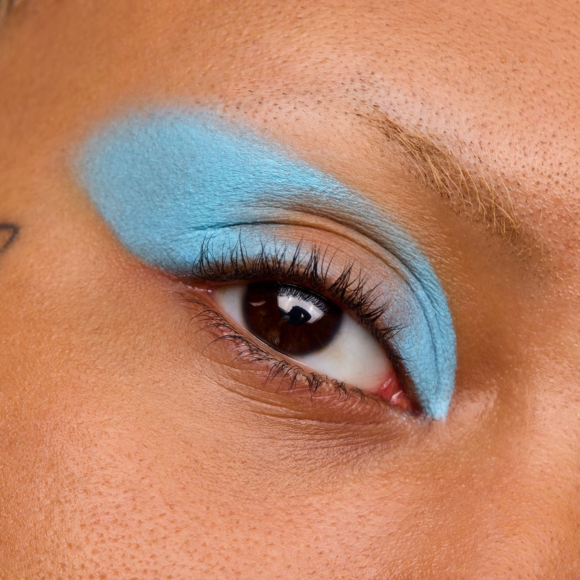 Danessa Myricks Colorfix Pastels (vegan), multiuse Make - up, wasserfest - Tigerzzz - Shop