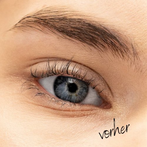 Paese Brow Story (8g) (Brow Lamination) - Tigerzzz-Shop